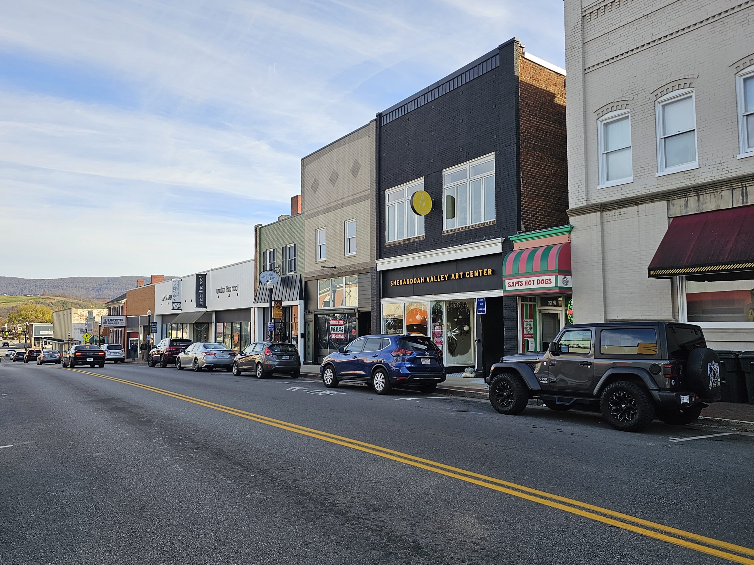 Cville Apt + Mountain View